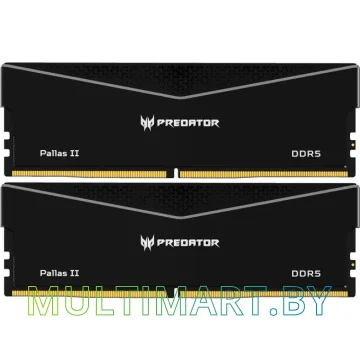 Оперативная память Acer Predator Pallas II 2x16GB DDR5 PC5-51200 (BL.9BWWR.434)
